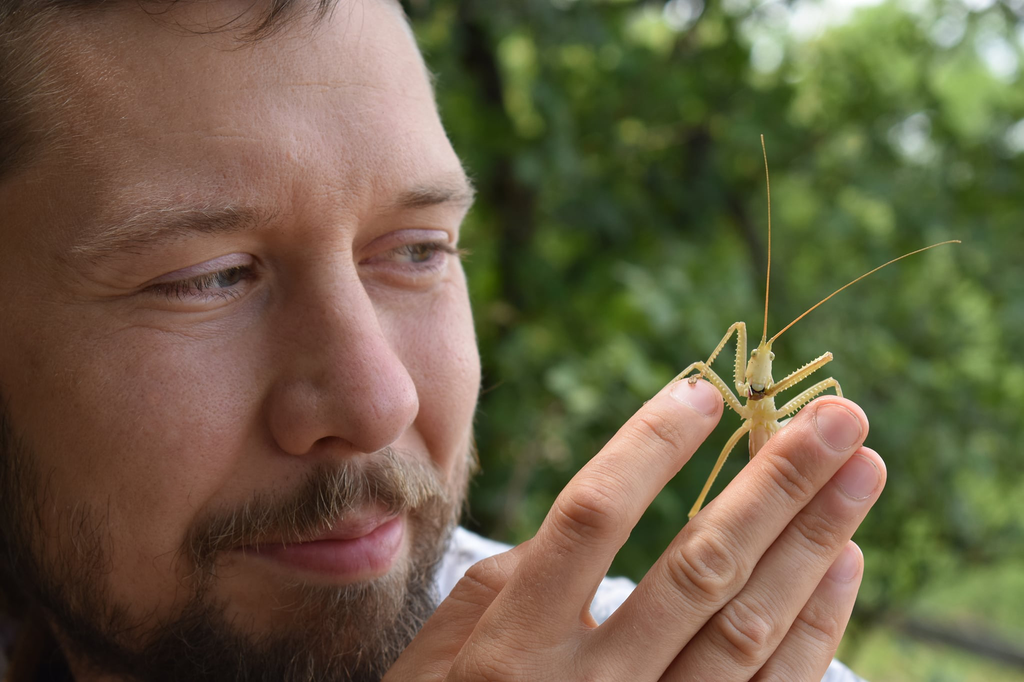 221947003 3655950084630169 4144809251174327567 n