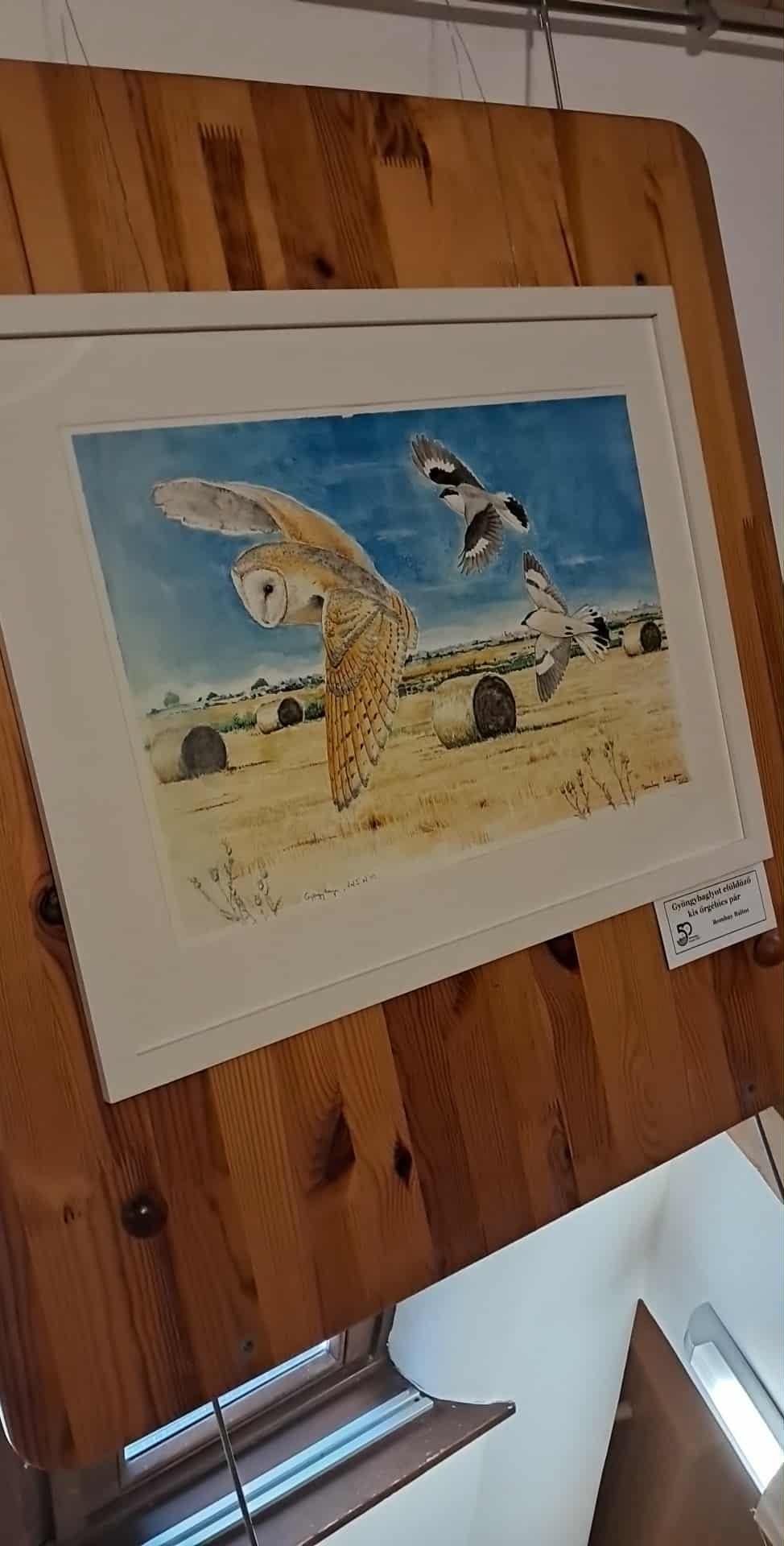50 év, 50 alkotó a kiskunságban (1)
