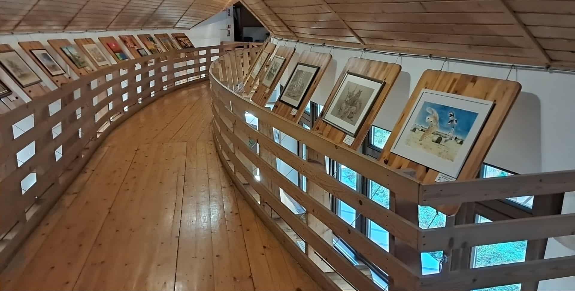 50 év, 50 alkotó a kiskunságban (2)